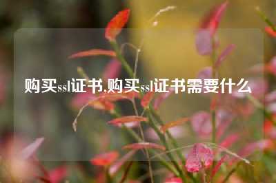 购买ssl证书,购买ssl证书需要什么