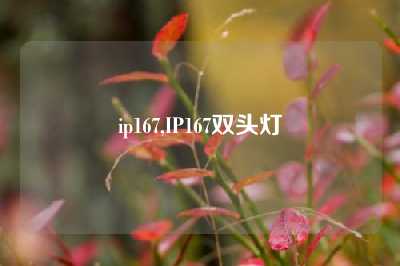ip167,IP167双头灯