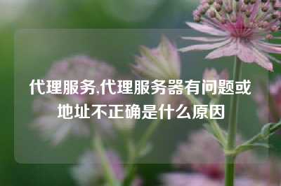 代理服务,代理服务器有问题或地址不正确是什么原因