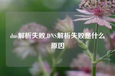 dns解析失败,DNS解析失败是什么原因