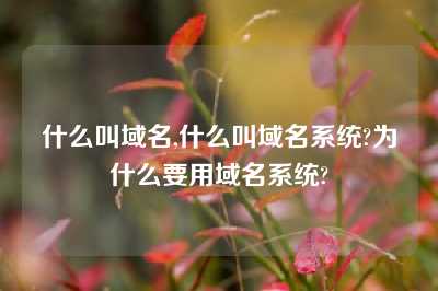 什么叫域名,什么叫域名系统?为什么要用域名系统?