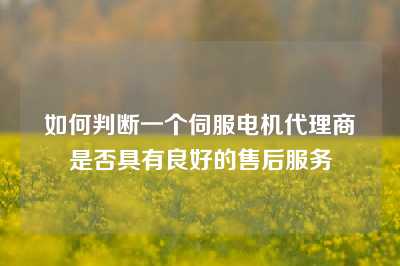 如何判断一个伺服电机代理商是否具有良好的售后服务