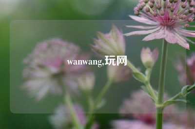 wanwang,玩网