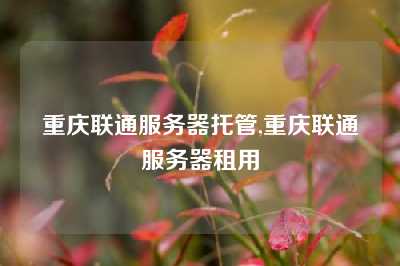 重庆联通服务器托管,重庆联通服务器租用