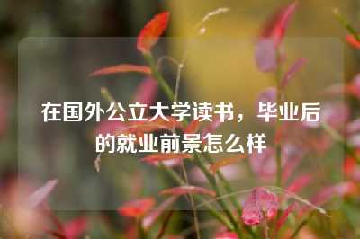 在国外公立大学读书，毕业后的就业前景怎么样