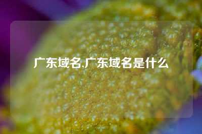 广东域名,广东域名是什么