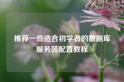 推荐一些适合初学者的数据库服务器配置教程