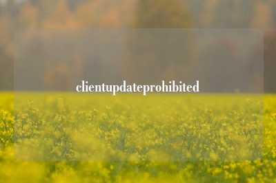 clientupdateprohibited