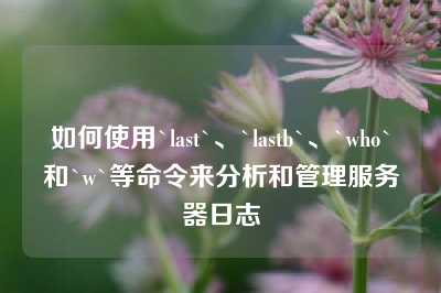 如何使用`last`、`lastb`、`who`和`w`等命令来分析和管理服务器日志