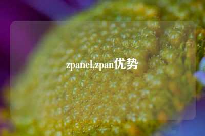 zpanel,zpan优势