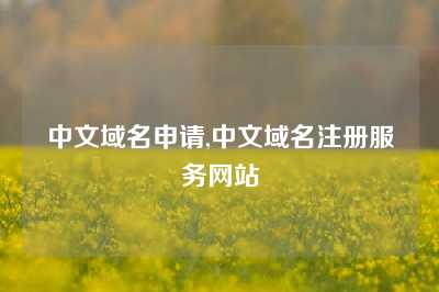 中文域名申请,中文域名注册服务网站