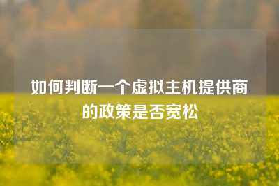 如何判断一个虚拟主机提供商的政策是否宽松