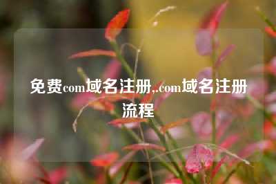 免费com域名注册,.com域名注册流程