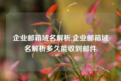 企业邮箱域名解析,企业邮箱域名解析多久能收到邮件