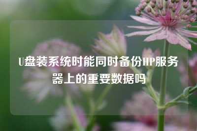 U盘装系统时能同时备份HP服务器上的重要数据吗