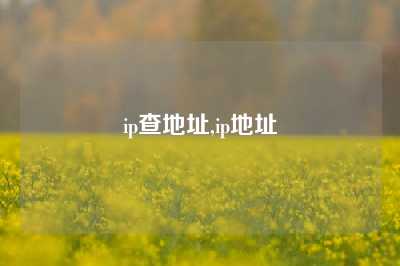 ip查地址,ip地址