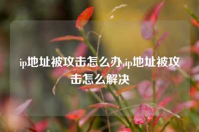 ip地址被攻击怎么办,ip地址被攻击怎么解决