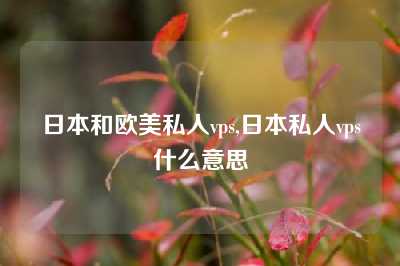 日本和欧美私人vps,日本私人vps什么意思