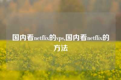 国内看netflix的vps,国内看netflix的方法