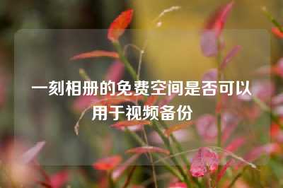 一刻相册的免费空间是否可以用于视频备份