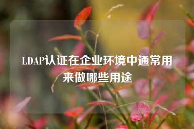 LDAP认证在企业环境中通常用来做哪些用途
