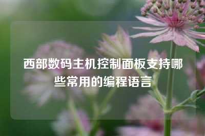西部数码主机控制面板支持哪些常用的编程语言