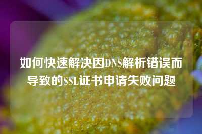如何快速解决因DNS解析错误而导致的SSL证书申请失败问题