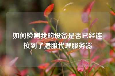 如何检测我的设备是否已经连接到了港服代理服务器