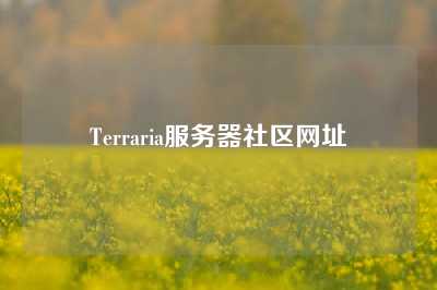 Terraria服务器社区网址