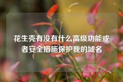 花生壳有没有什么高级功能或者安全措施保护我的域名