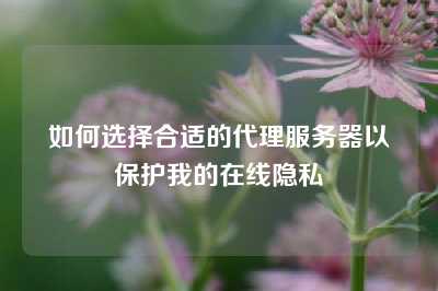 如何选择合适的代理服务器以保护我的在线隐私