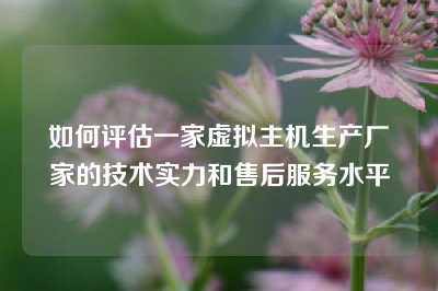 如何评估一家虚拟主机生产厂家的技术实力和售后服务水平