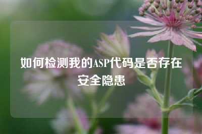 如何检测我的ASP代码是否存在安全隐患