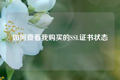如何查看我购买的SSL证书状态