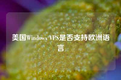 美国Windows VPS是否支持欧洲语言