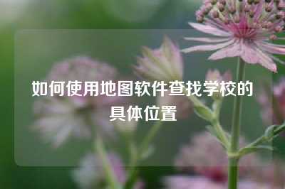 如何使用地图软件查找学校的具体位置