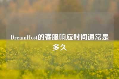DreamHost的客服响应时间通常是多久