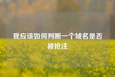 我应该如何判断一个域名是否被抢注