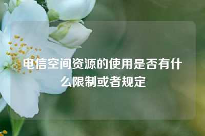 电信空间资源的使用是否有什么限制或者规定