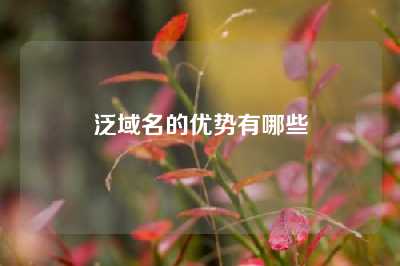 泛域名的优势有哪些