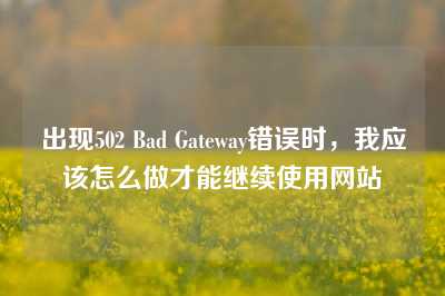 出现502 Bad Gateway错误时，我应该怎么做才能继续使用网站