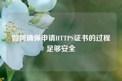 如何确保申请HTTPS证书的过程足够安全