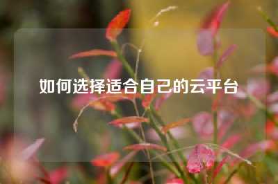 如何选择适合自己的云平台