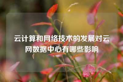 云计算和网络技术的发展对云网数据中心有哪些影响