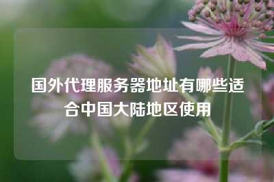 国外代理服务器地址有哪些适合中国大陆地区使用