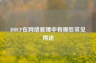 DHCP在网络管理中有哪些常见用途