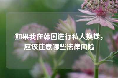 如果我在韩国进行私人换钱，应该注意哪些法律风险