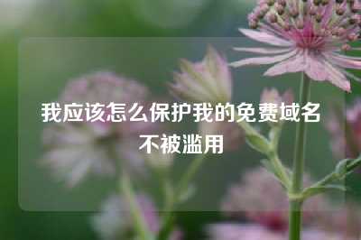 我应该怎么保护我的免费域名不被滥用