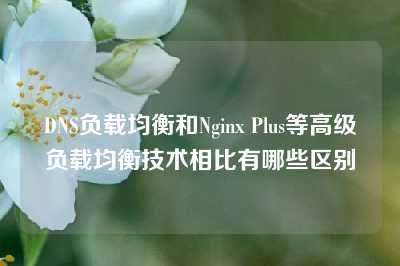 DNS负载均衡和Nginx Plus等高级负载均衡技术相比有哪些区别