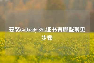 安装GoDaddy SSL证书有哪些常见步骤